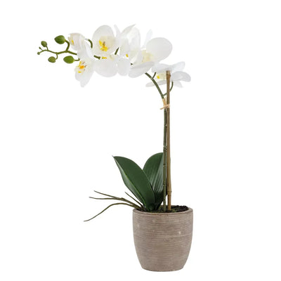 Orchid - Lined Ceramic Pot 47cm - Herb Ball