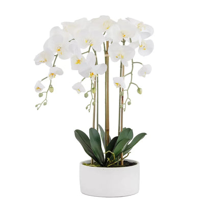Orchid - Smooth Ceramic Planter Large 60cm - Herb Ball