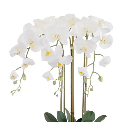 Orchid - Smooth Ceramic Planter Large 60cm - Herb Ball