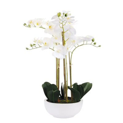 Orchid - Smooth Ceramic Planter XL Herb Ball