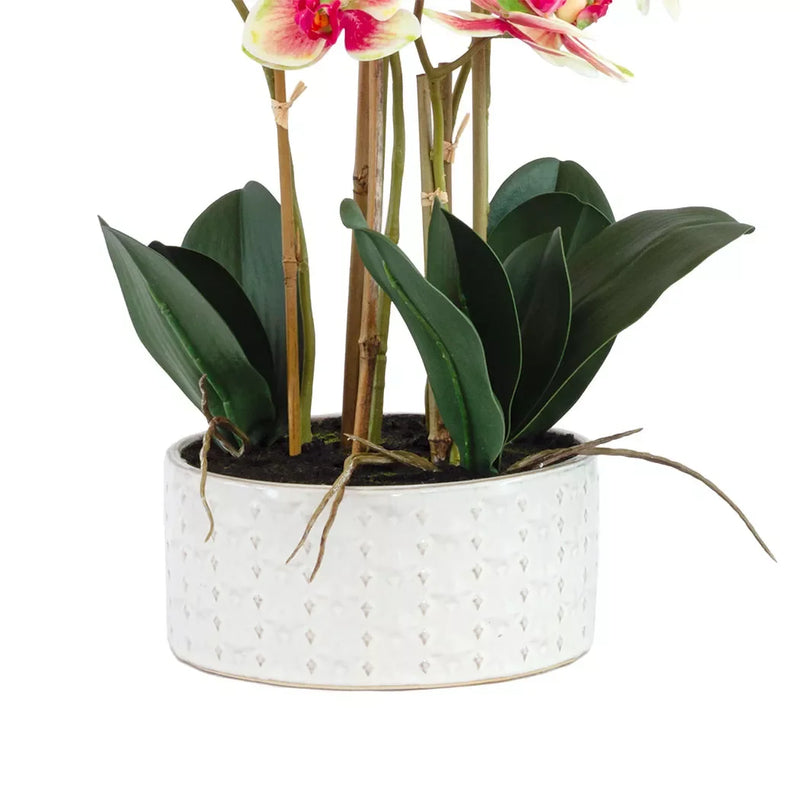 Orchid - Textured Ceramic Planter Large 67cm - Herb Ball