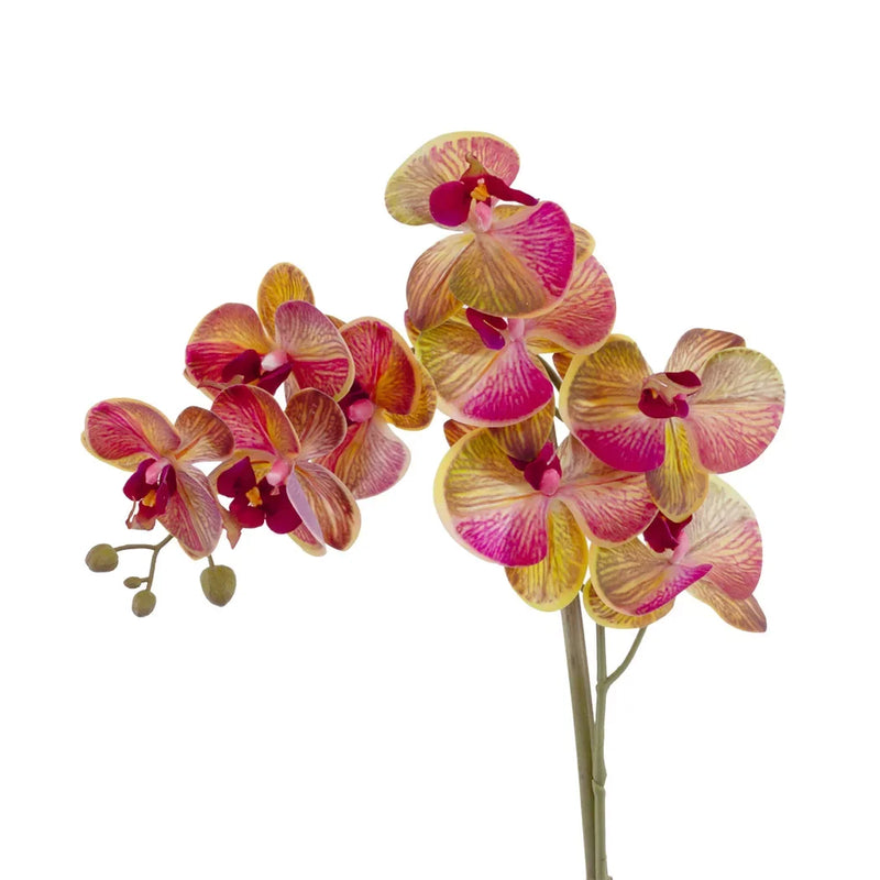 Orchid - Vibrant - Herb Ball