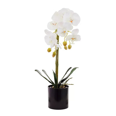 Orchid - White Dual Pebbles 51cm - Herb Ball