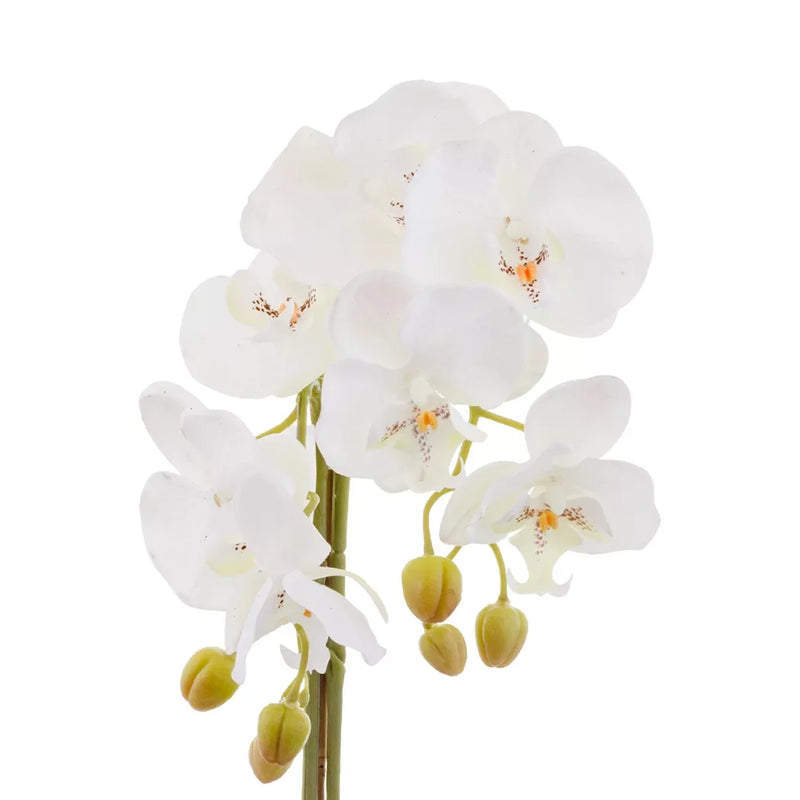 Orchid - White Dual Pebbles 51cm - Herb Ball