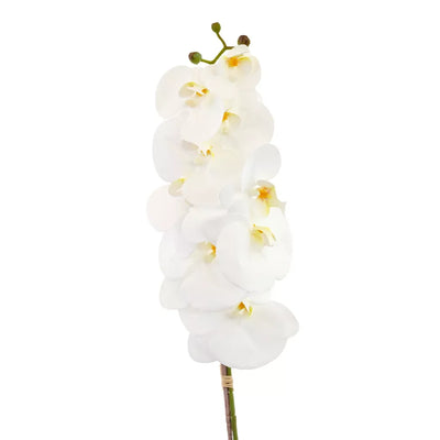 Orchid - White Tall 72cm - Herb Ball