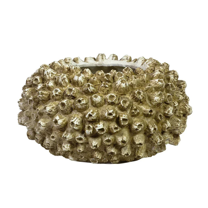 Ornament - Barnacle Bowl - Wood