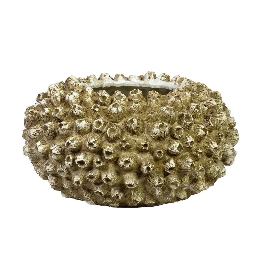 Ornament - Barnacle Bowl - Wood