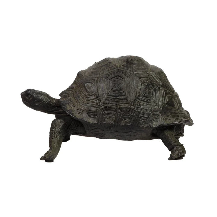 Ornament - Rustic Tortoise - Wood