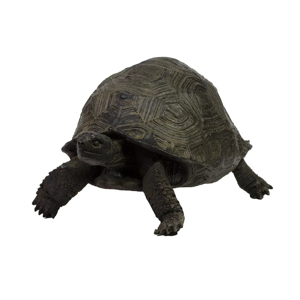 Ornament - Rustic Tortoise - Wood