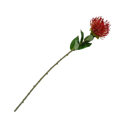 Pincushion Stem - 74cm Red - Greenery