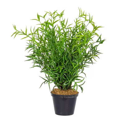 Plant - Bladed Leaves 43cm - Plant