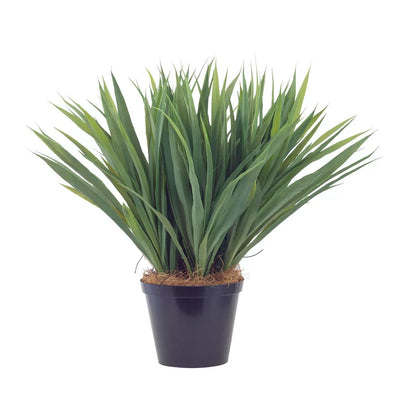 Plant - Broad Grass Leaves 45cm - Herb Ball