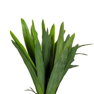 Plant - Lily Leaves 48cm - Plant