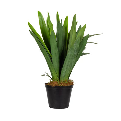 Plant - Lily Leaves 48cm - Plant