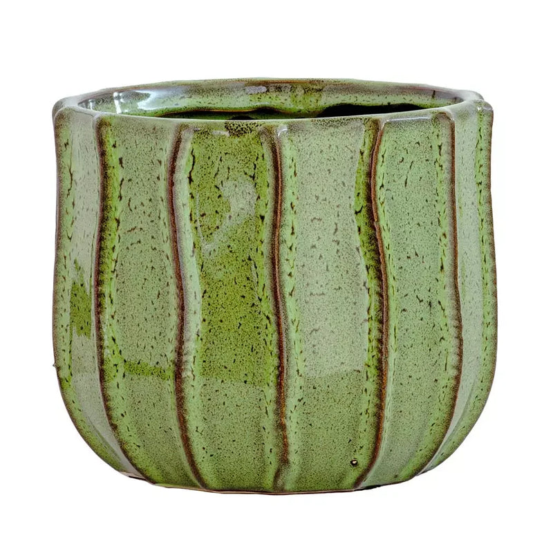 Planter - Ceramic Green Cacti 15cm - Ceramic