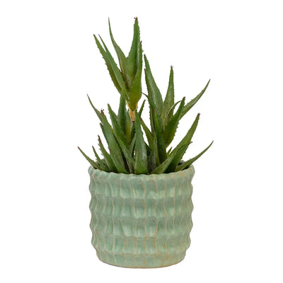Planter - Ceramic Green Textured 15cm - Ceramic