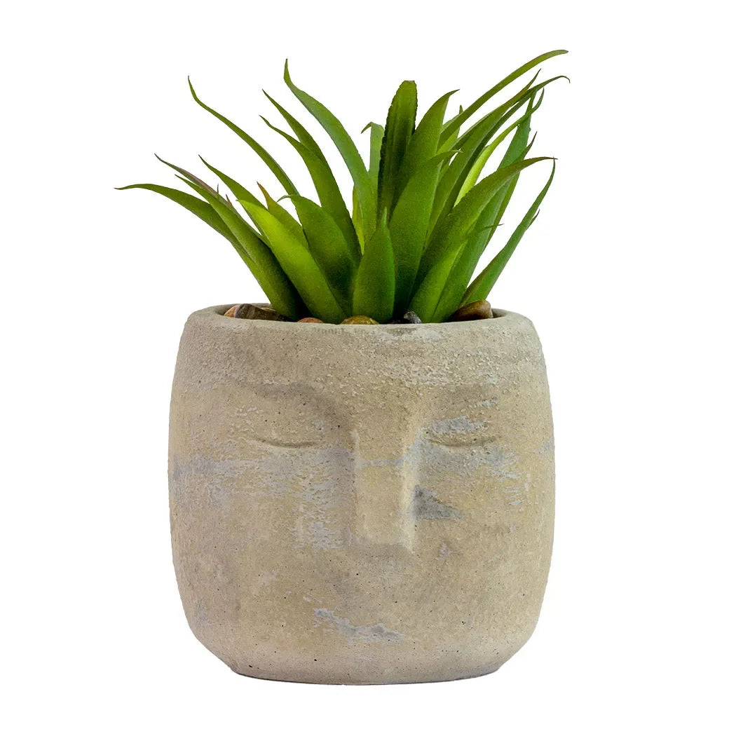 Potted Face Planter - Polynesia - Herb Ball