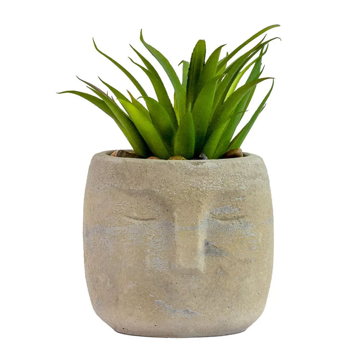 Potted Face Planter - Polynesia - Herb Ball