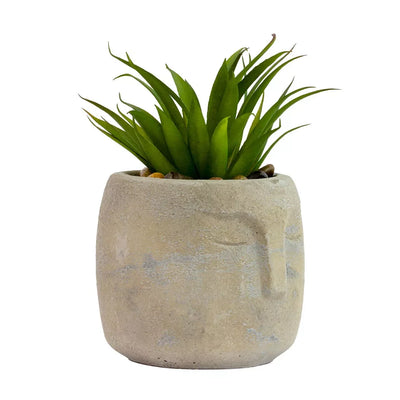 Potted Face Planter - Polynesia - Herb Ball