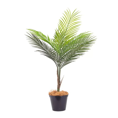 Potted Palm - 75cm - Herb Ball