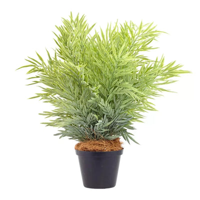 Potted Plant - Dreamy 42cm - Herb Ball