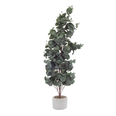 Potted Plant - Eucalyptus 85cm - Plant