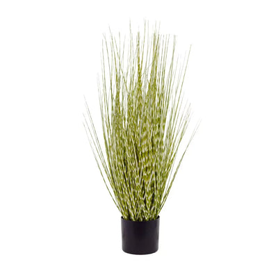 Potted Plant - Prairie Grass Bush 60cm - Plant