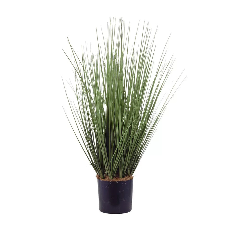 Potted Plant - Tall Grass Bush 65cm - Plant