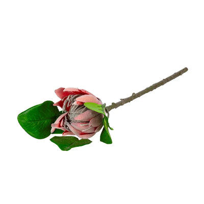 Protea - Baby Cynaroides 45cm - Greenery