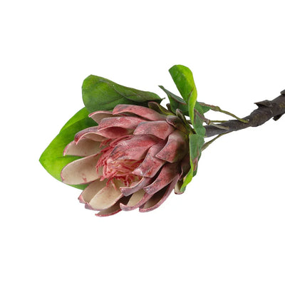 Protea - Large Red 70cm - Greenery