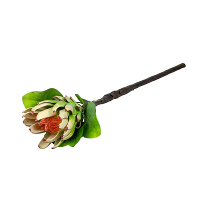 Protea - Large Young 70cm - Greenery