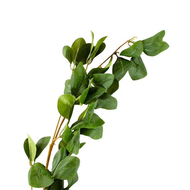 Spray - Dark Green 170cm - Garland