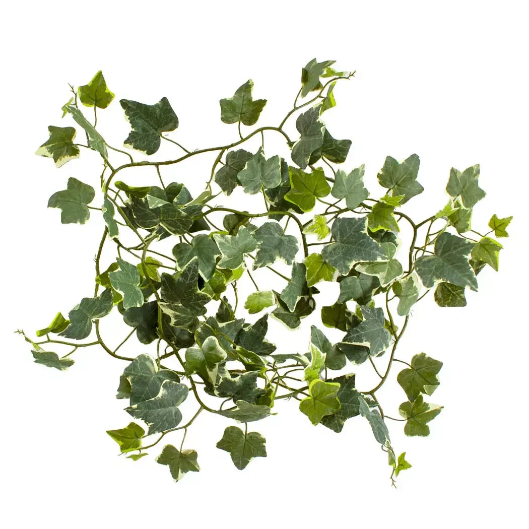 Spray - Ivy 183cm - Garland