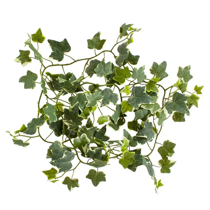 Spray - Ivy 183cm - Garland