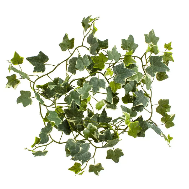 Spray - Ivy 183cm - Garland