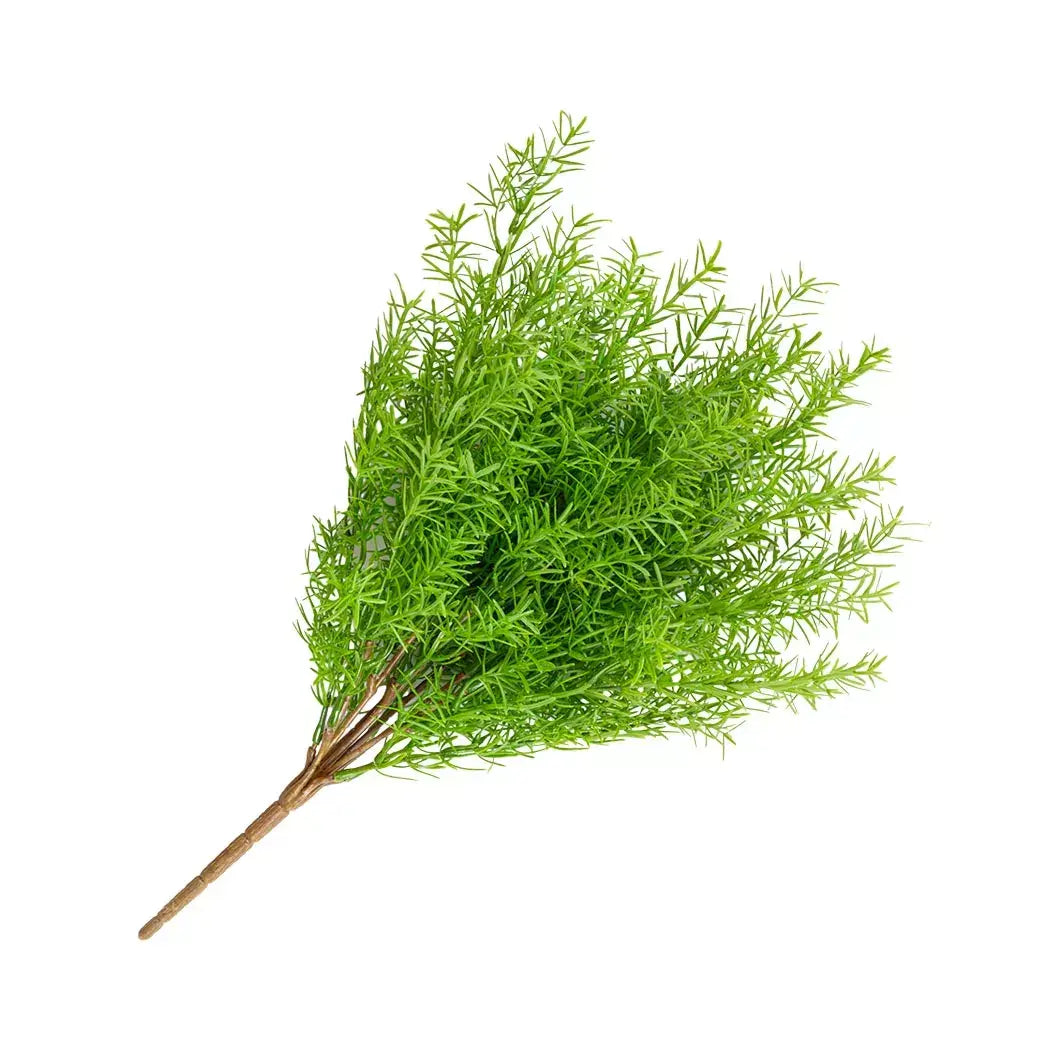 Sprig - Asparagus Fern Bush 45cm - Greenery