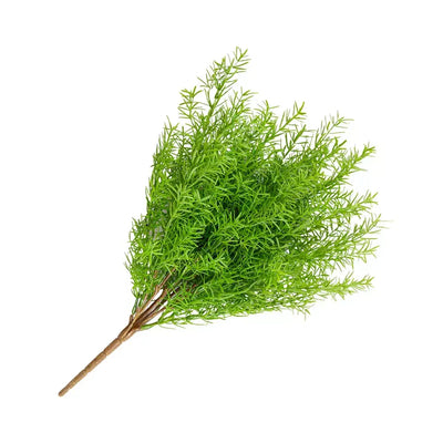 Sprig - Asparagus Fern Bush 45cm - Greenery