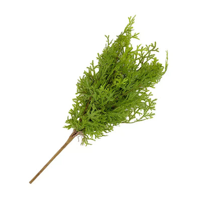 Sprig - Cupressaceae 45cm Greenery