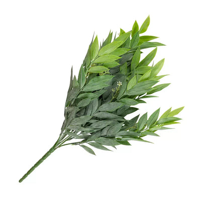 Sprig - Ruscus Bush 45cm - Greenery