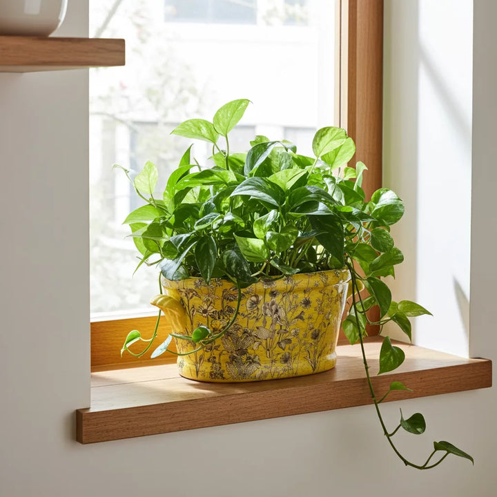 Ceramic Footbath/Planter - Yellow Fields Large