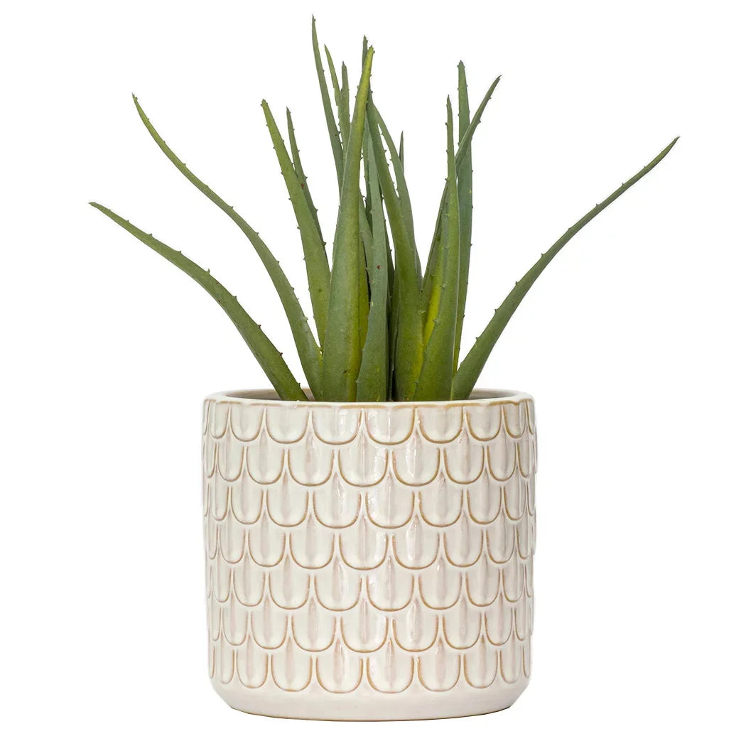 Aloe - Classic 28cm - Herb Ball