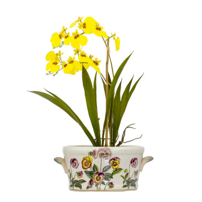 Ceramic Footbath/Planter - Floral Handled - Ceramic