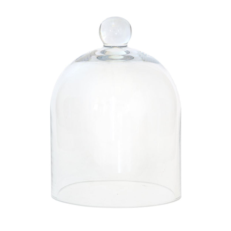 glass dome bell glass