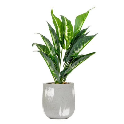 Evergreen Leaves - Potted 42cm - Herb Ball