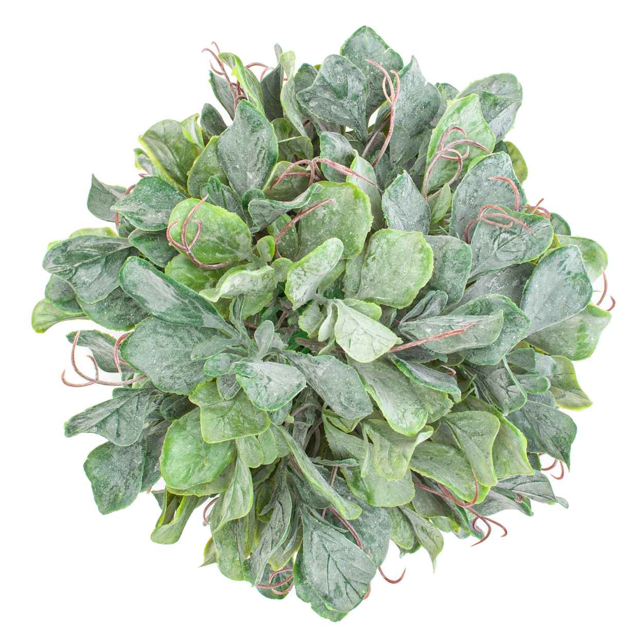 herb ball