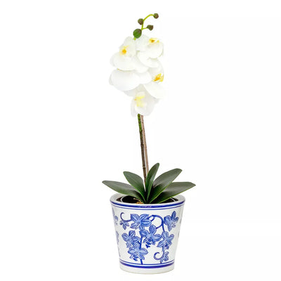 Orchid - White Classic in Plain Pot 55cm - Herb Ball