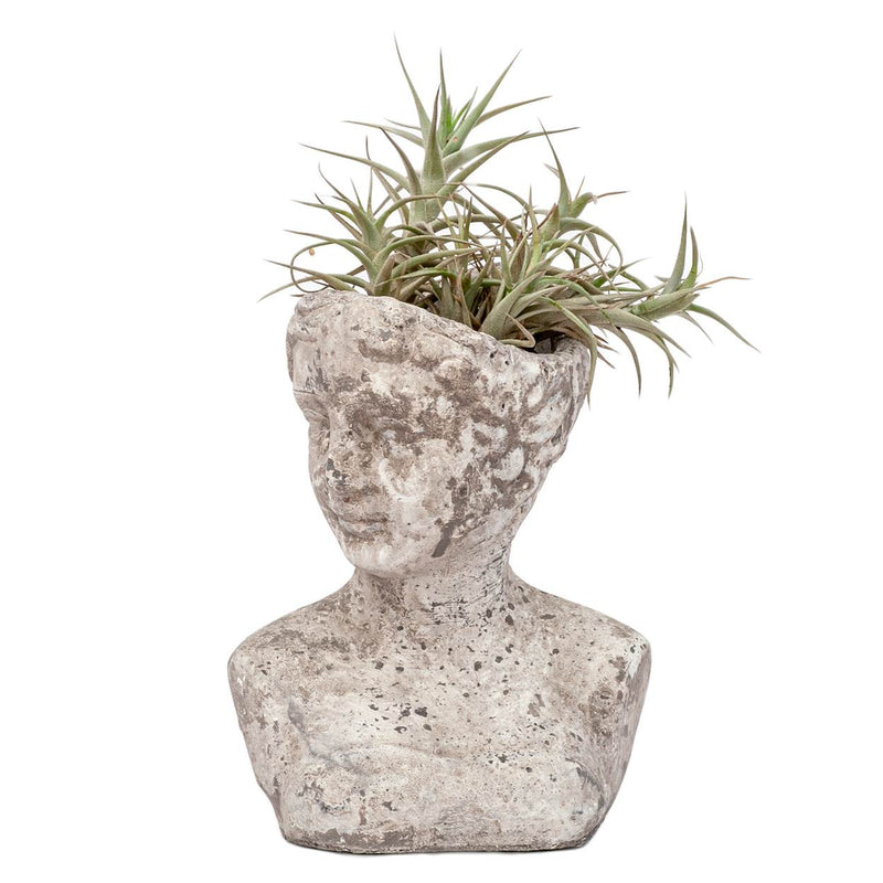 Head Planter - Grey Female Bust Small - Cement