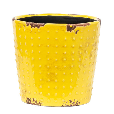 Ceramic Planter - Prickly Yellow